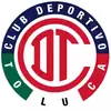托卢卡