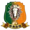 呼和浩特队